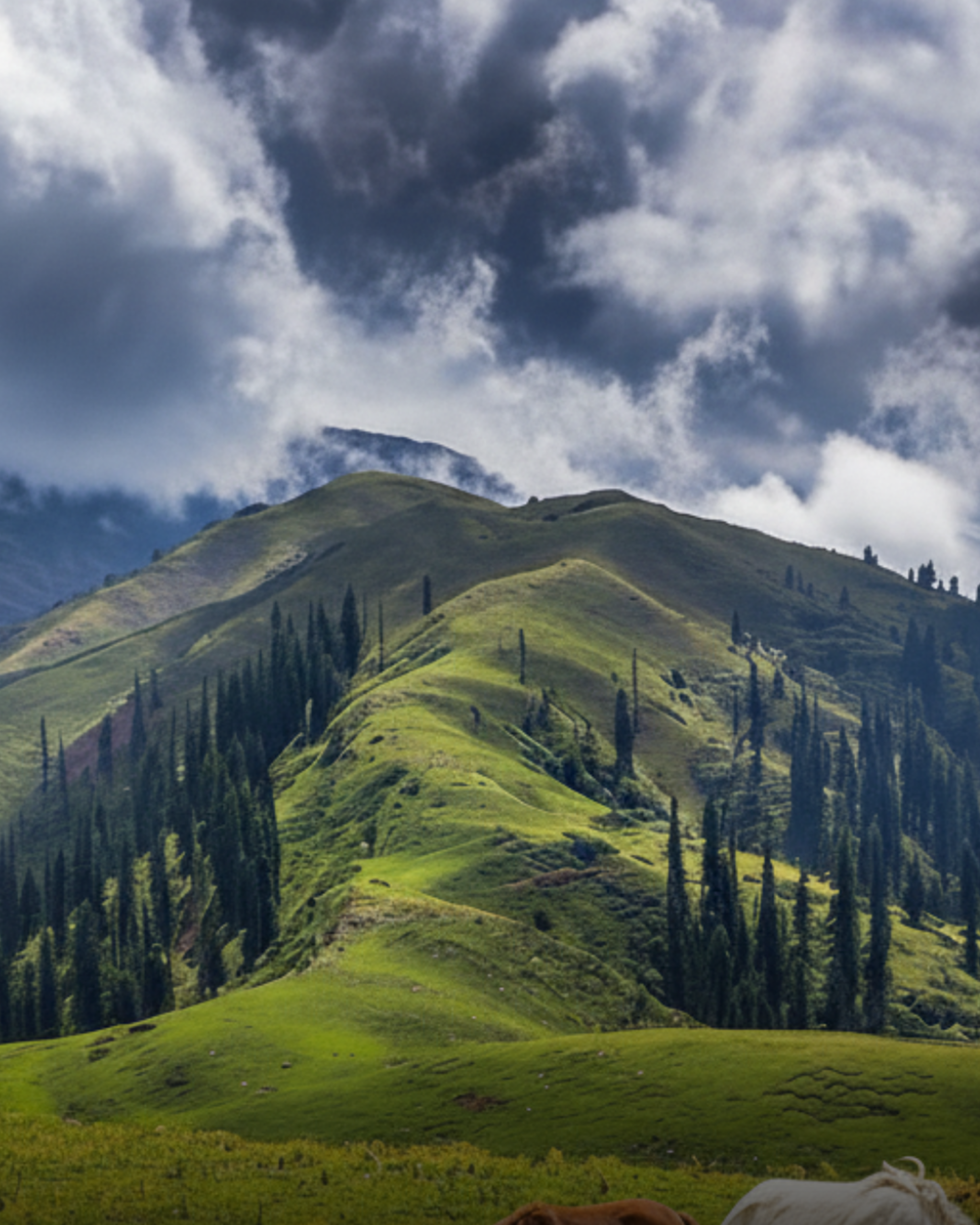Shogran Valley Tour